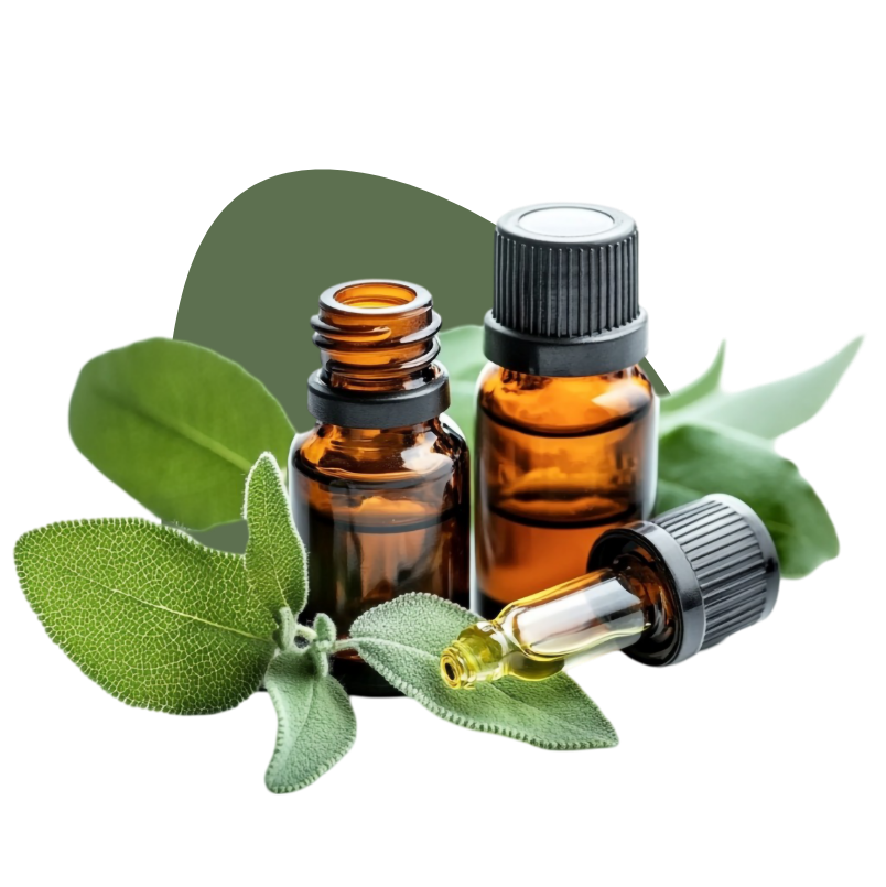 Imagem representando o uso dos fitoterápicos