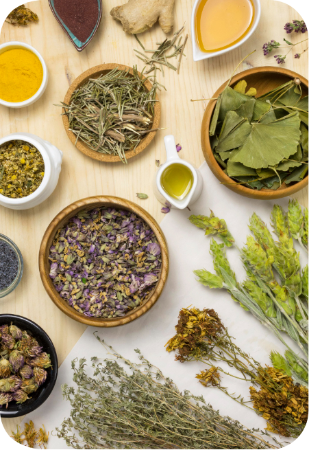 Imagem representando aa possiveis aplicações fitoterapicas das plantas.